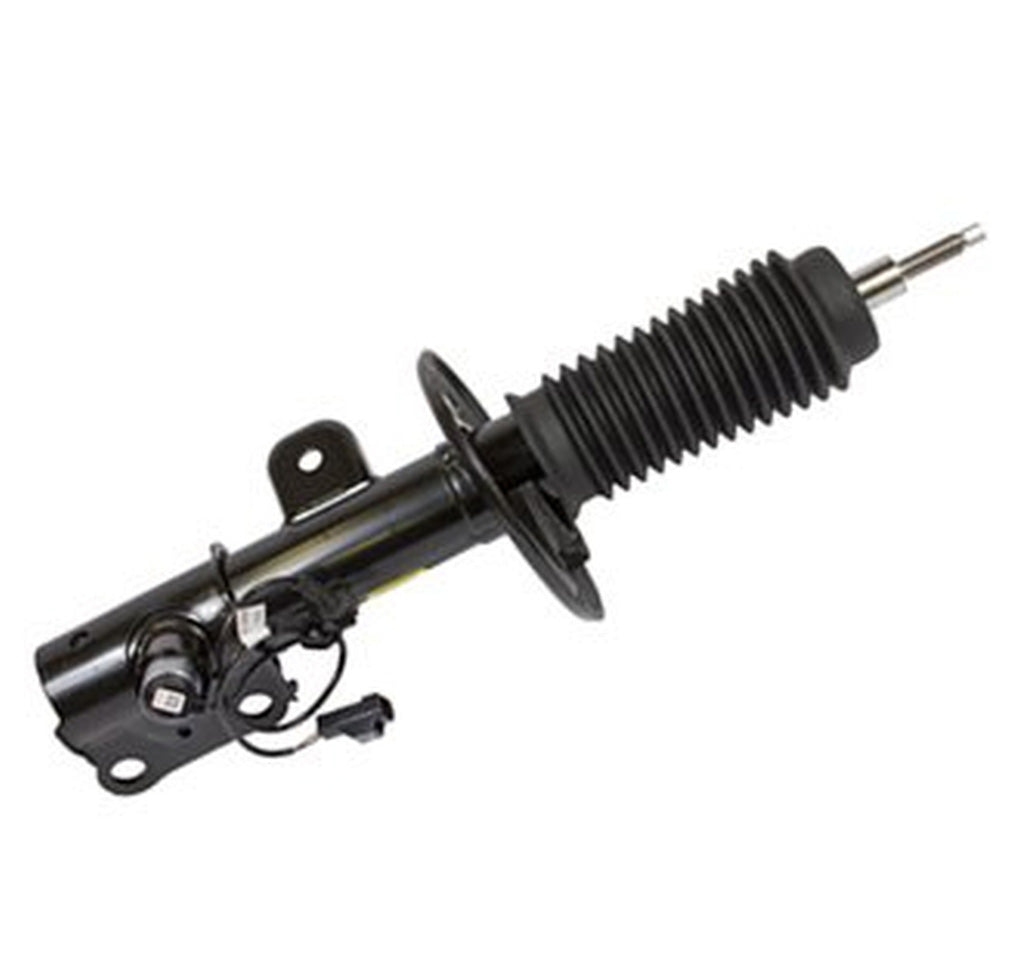 Motorcraft AST18204 Strut Suspension