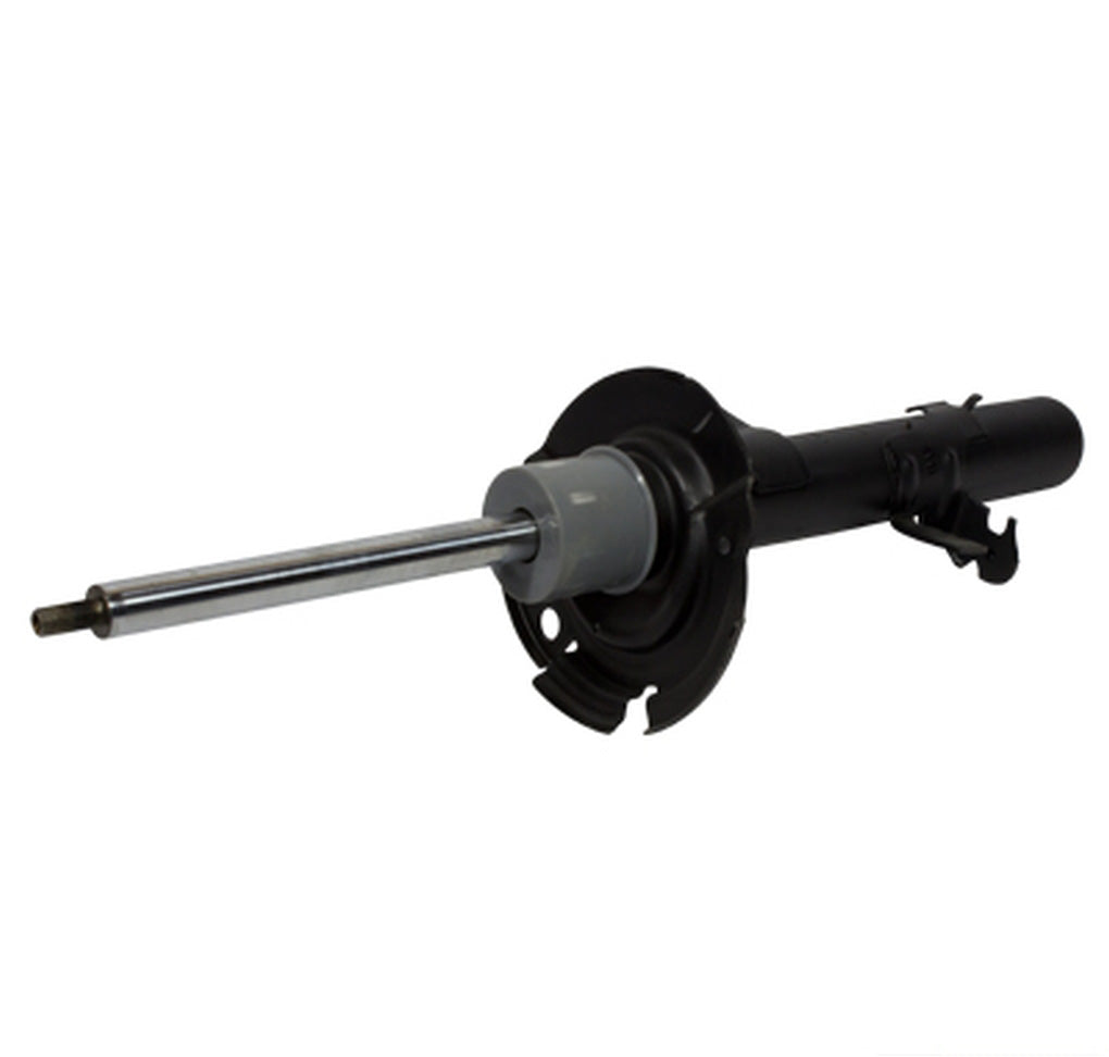 Motorcraft AST24653 Shock Absorber Assembly