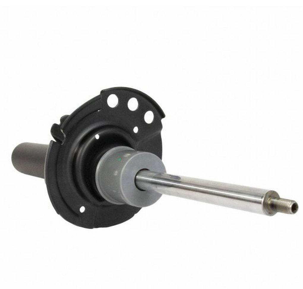 Motorcraft AST24694 Shock Absorber Assembly Front