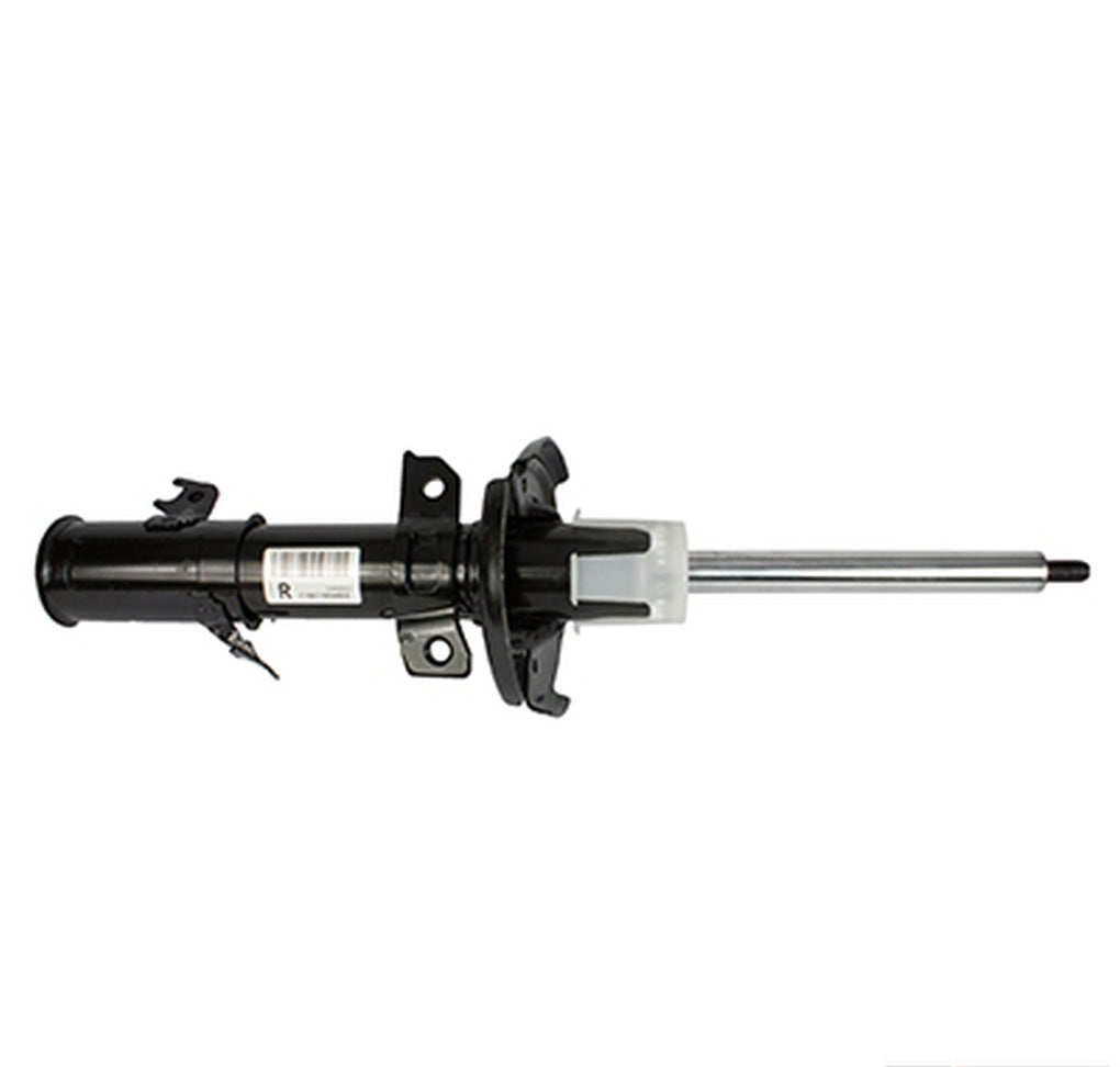 Motorcraft AST24733 Shock Absorber Assembly