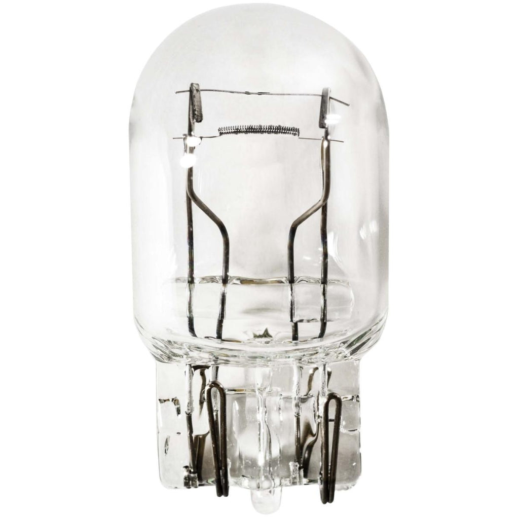 Auveco B7443 Industry Standard 7443 Bulb