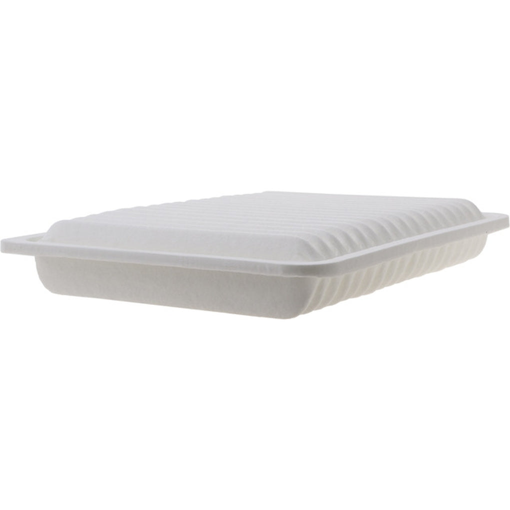 Fram Filters CA10163 Panel Air Filter