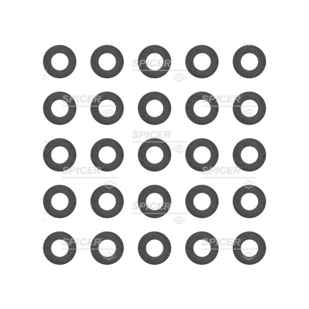 Dana 30186 Pinion Nut Washer