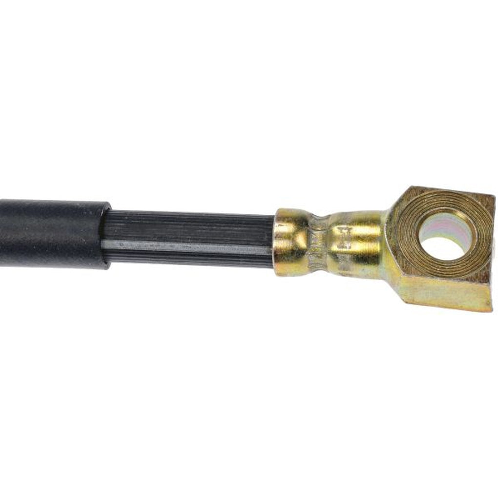 Dorman H380295 Brake Hydraulic Hose