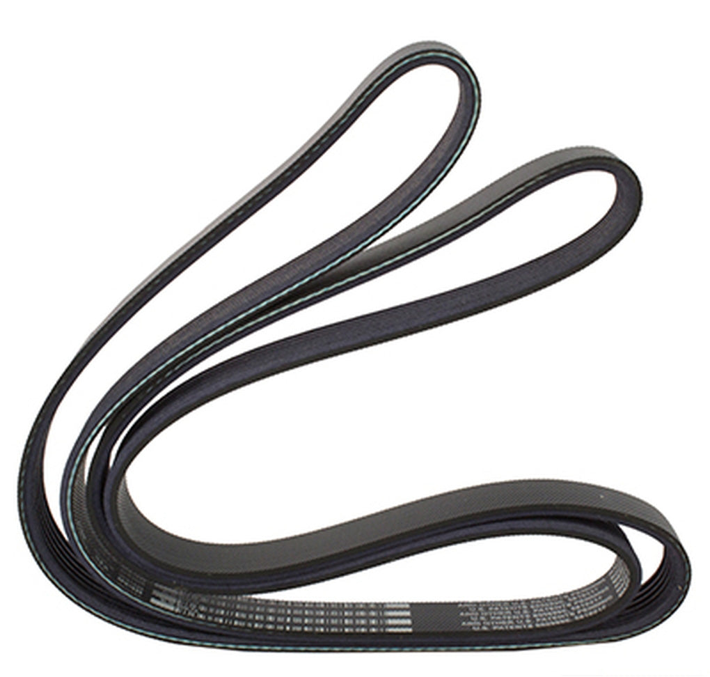 Motorcraft JK6648 V-Belt