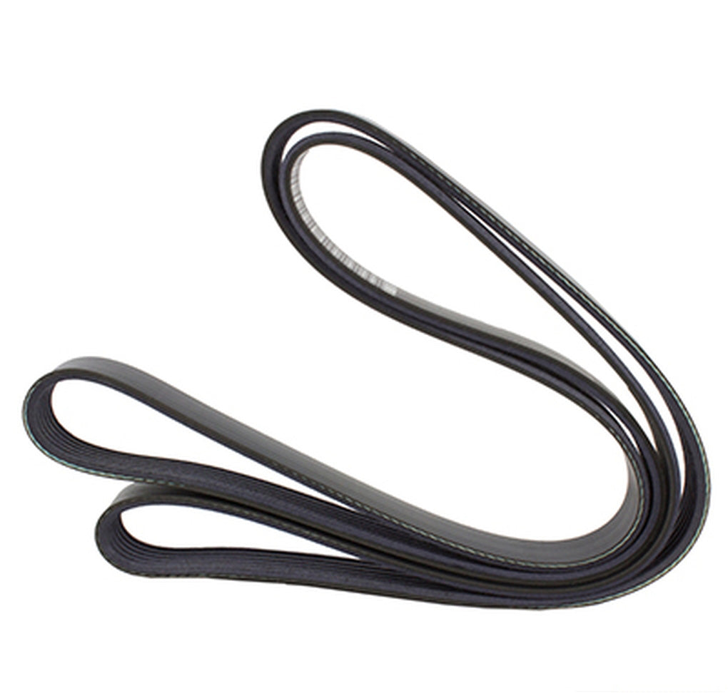 Motorcraft JK6695 V-Belt