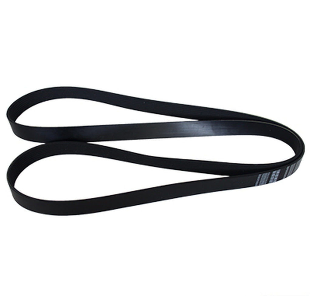 Motorcraft JK8872E V-Belt