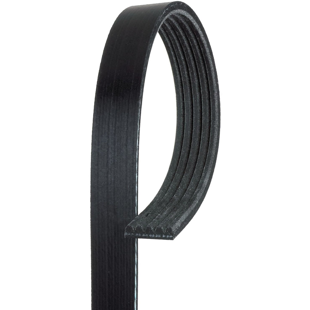 Gates K050321 Automotive V-Ribbed Belt (Standard) K05 21/32" x 32 3/4"
