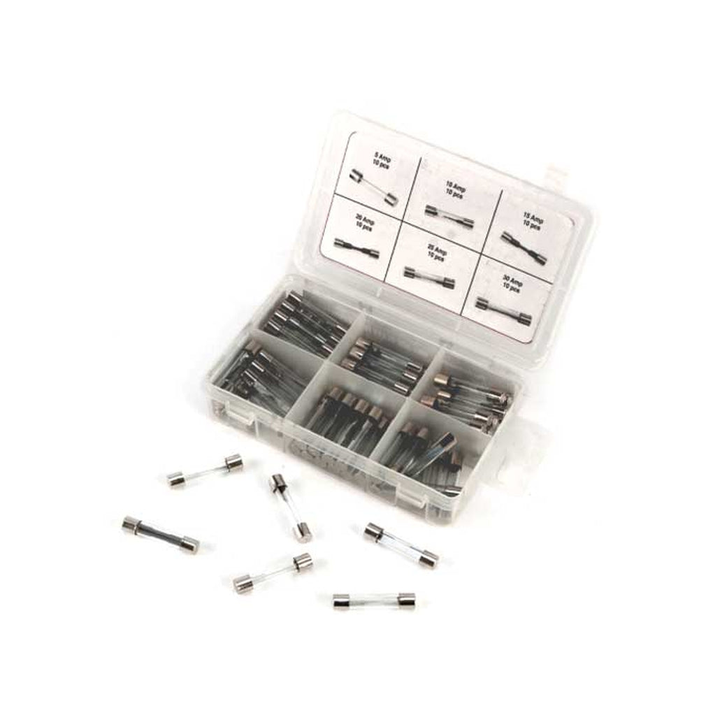 Performance Tool W5375 60Pc Agc Glass Fuse Asst