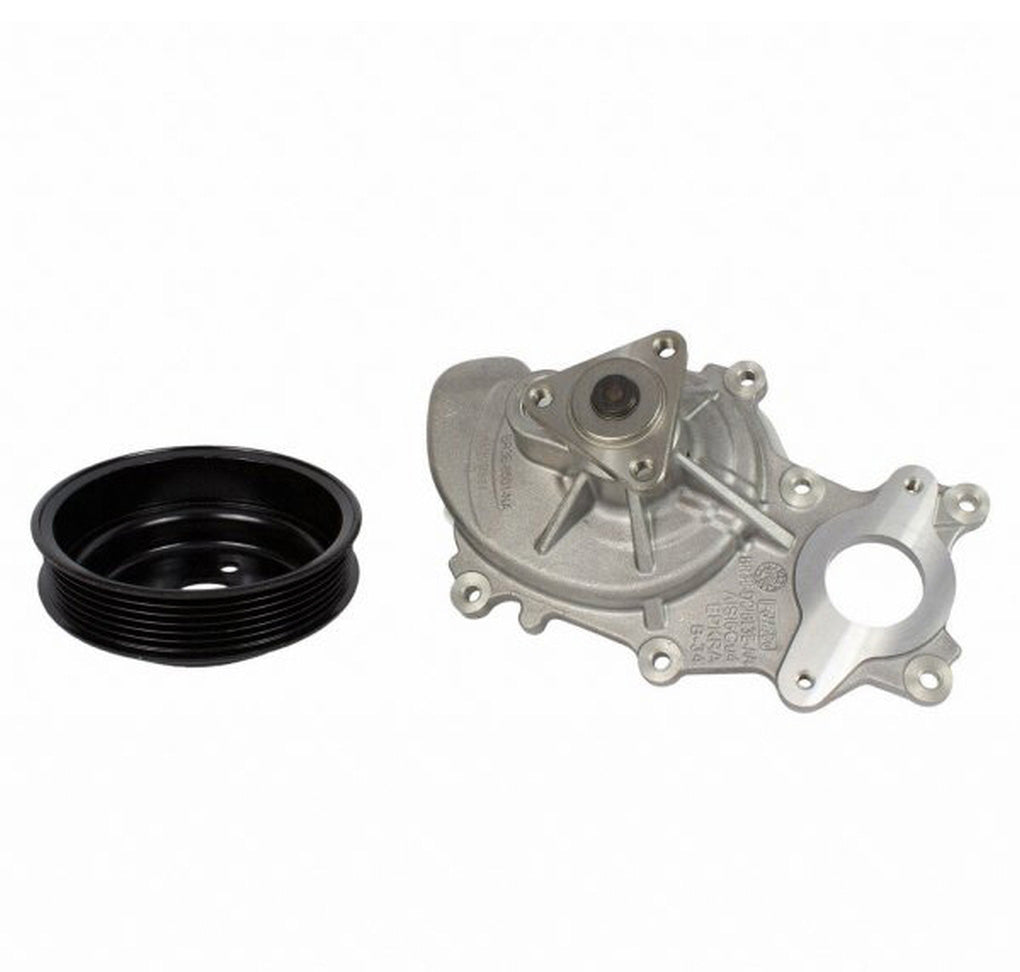 Motorcraft PW567 Kit Water Pump Repair