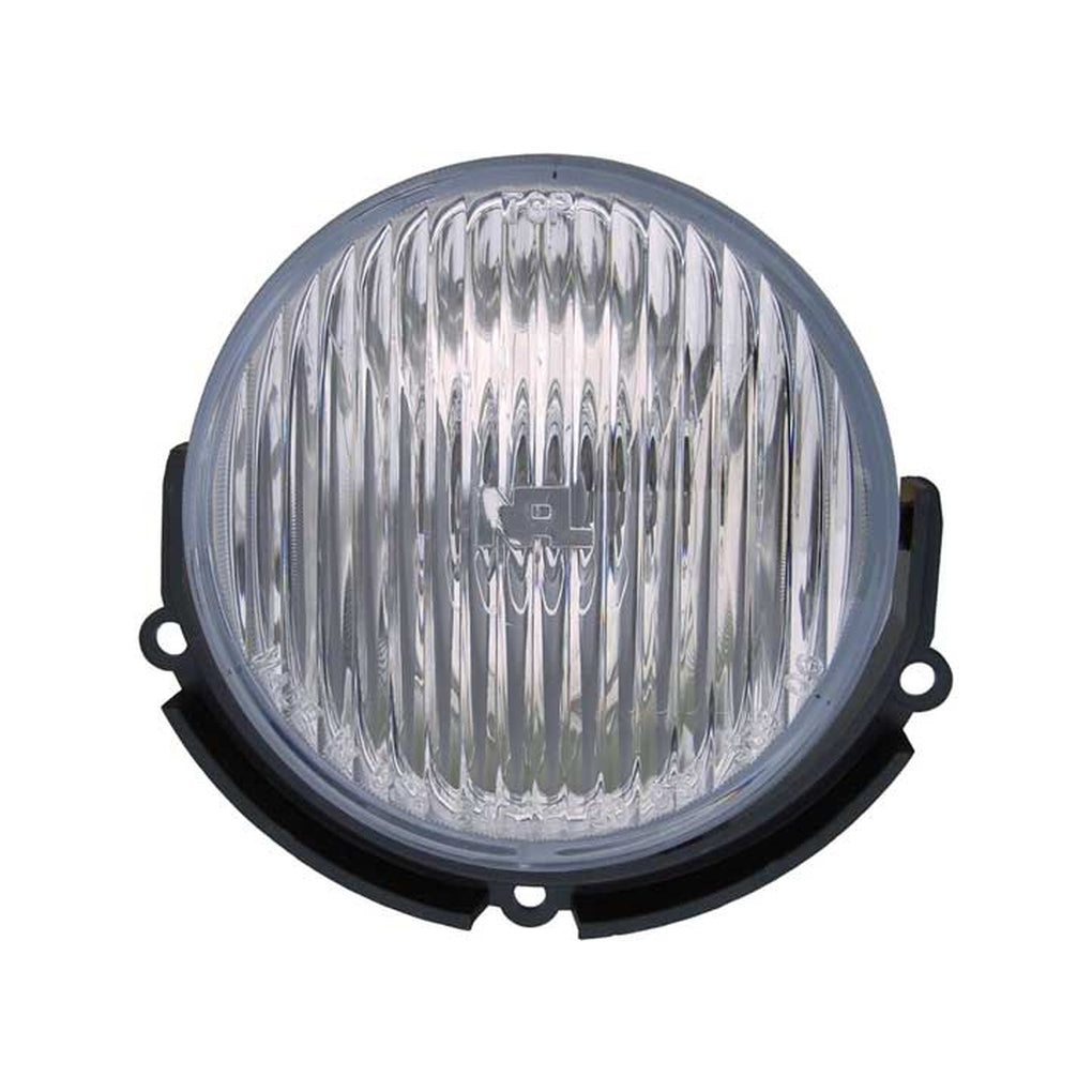 Regionmax FR554-B0000 LH Fog Lamp Assy; Cobra; Mustang 9901