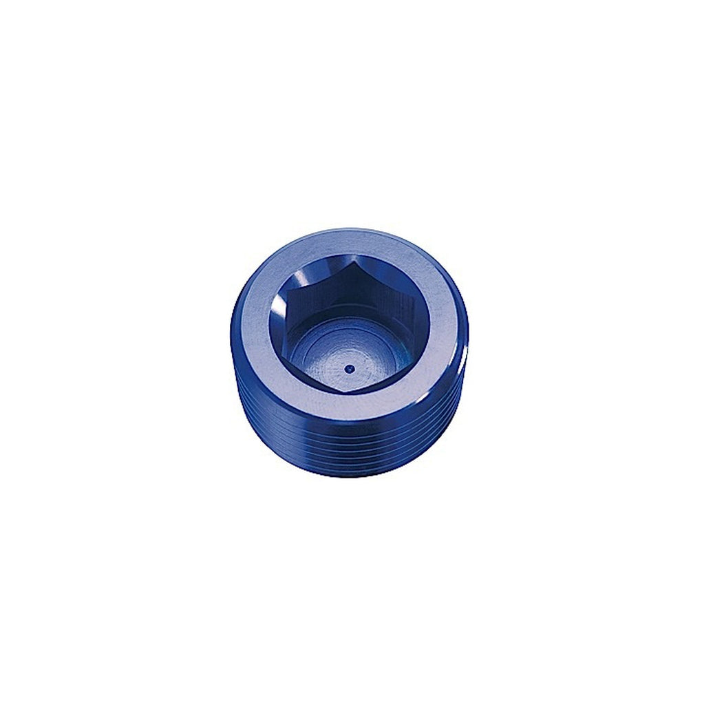 Red Horse Performance 932-02-1 02 (1/8) Npt Hex Head Pipe Plug Blue 2/Pkg
