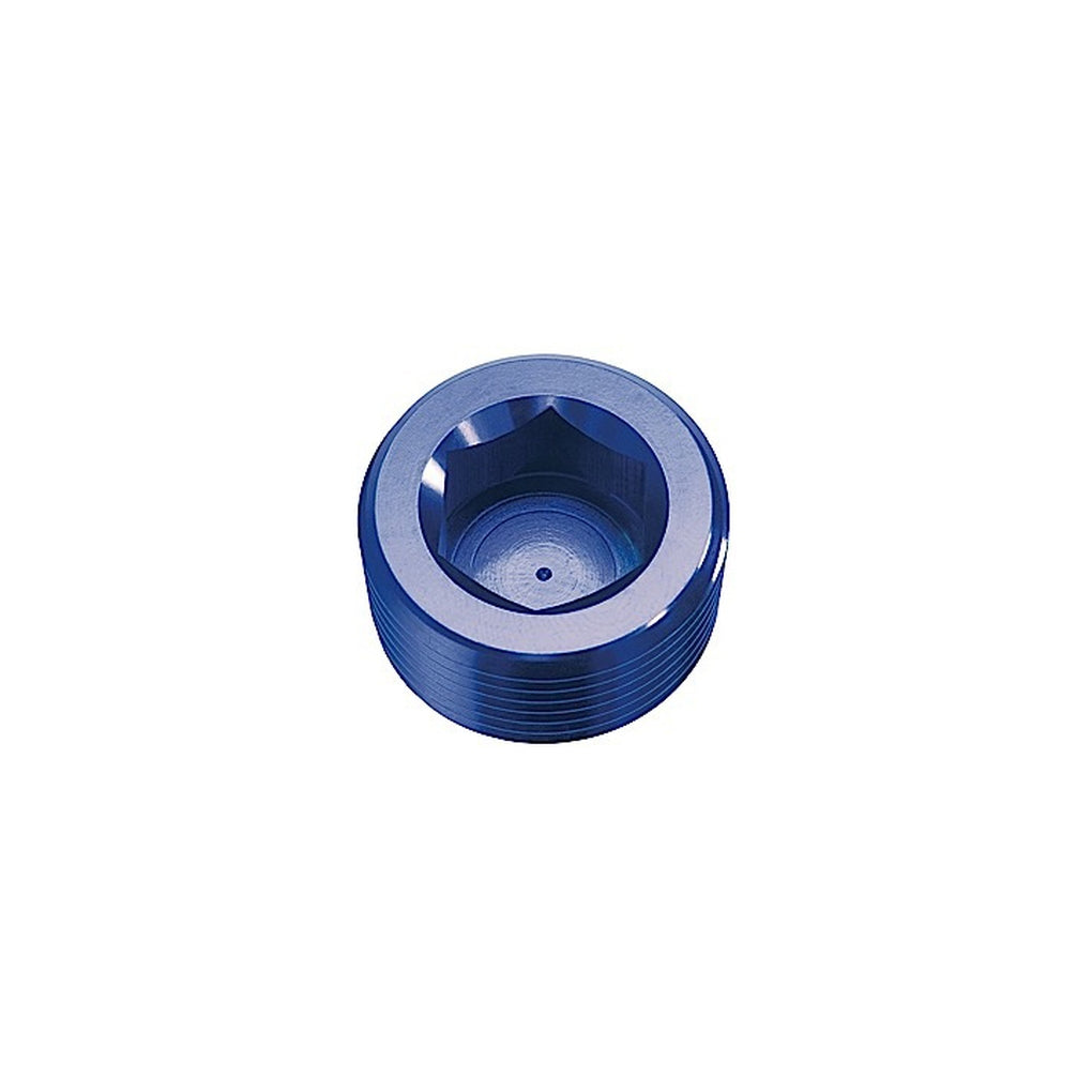 Red Horse Performance 932-04-1 04 (1/4) Npt Hex Head Pipe Plug Blue 2/Pkg