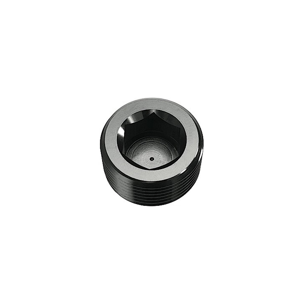 Red Horse Performance 932-04-2 04 (1/4) Npt Hex Head Pipe Plug Black 2/Pkg