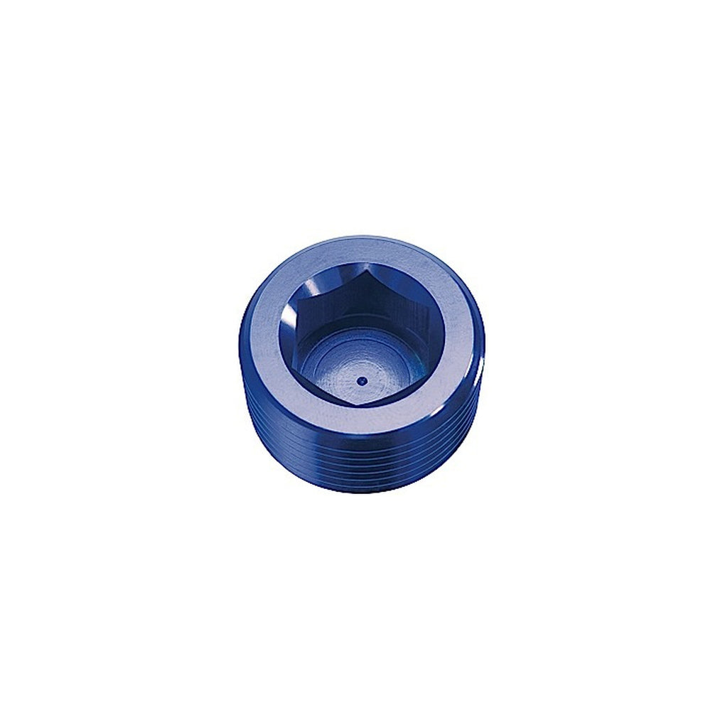 Red Horse Performance 932-06-1 06 (3/8) Npt Hex Head Pipe Plug Blue 2/Pkg