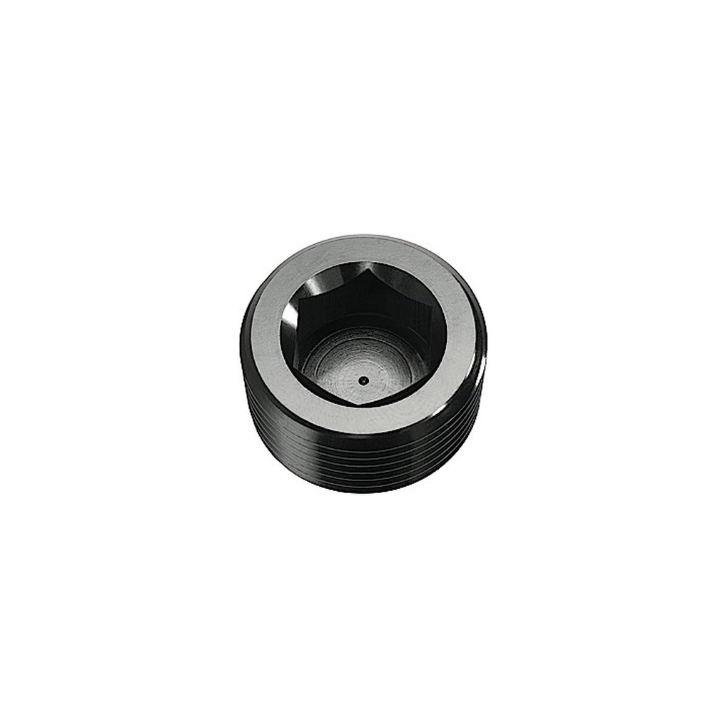 Red Horse Performance 932-06-2 06 (3/8) Npt Hex Head Pipe Plug Black 2/Pkg