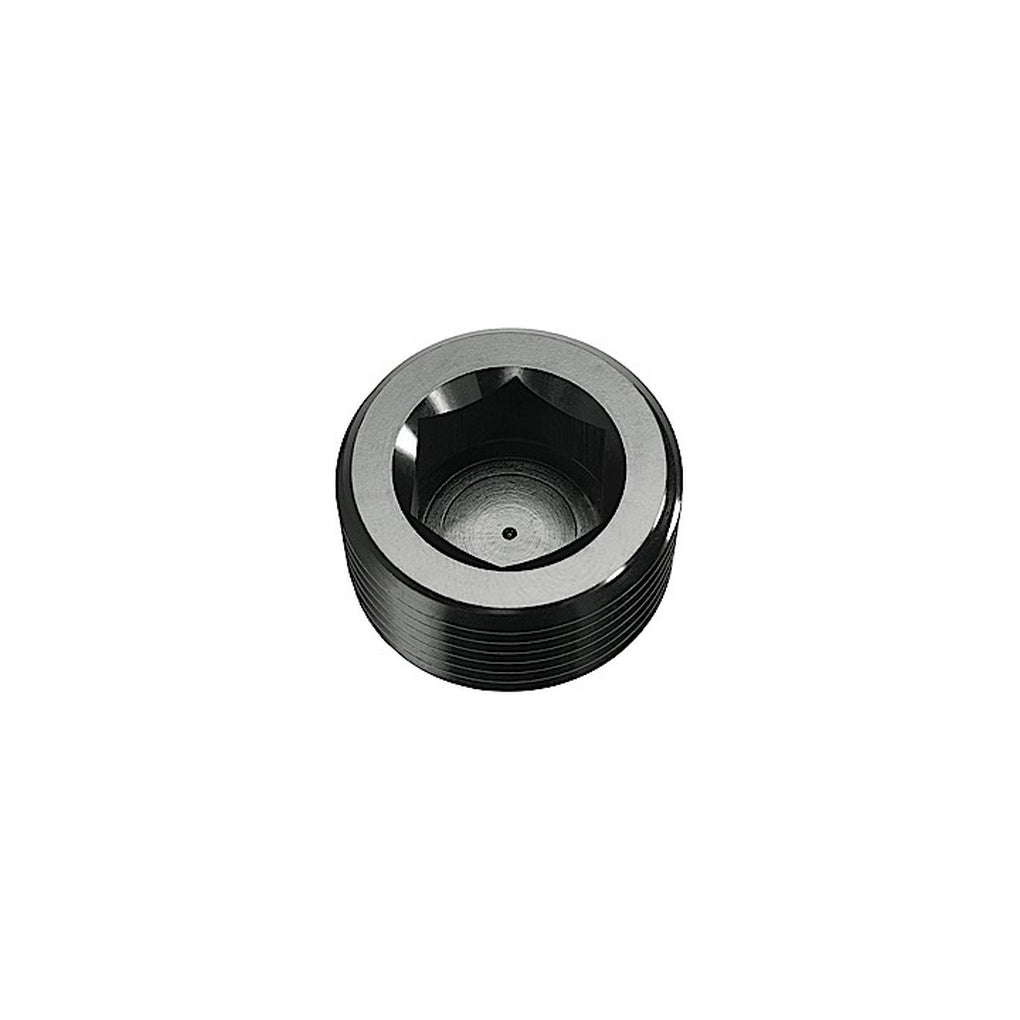 Red Horse Performance 932-08-2 08 (1/2) Npt Hex Head Pipe Plug Black