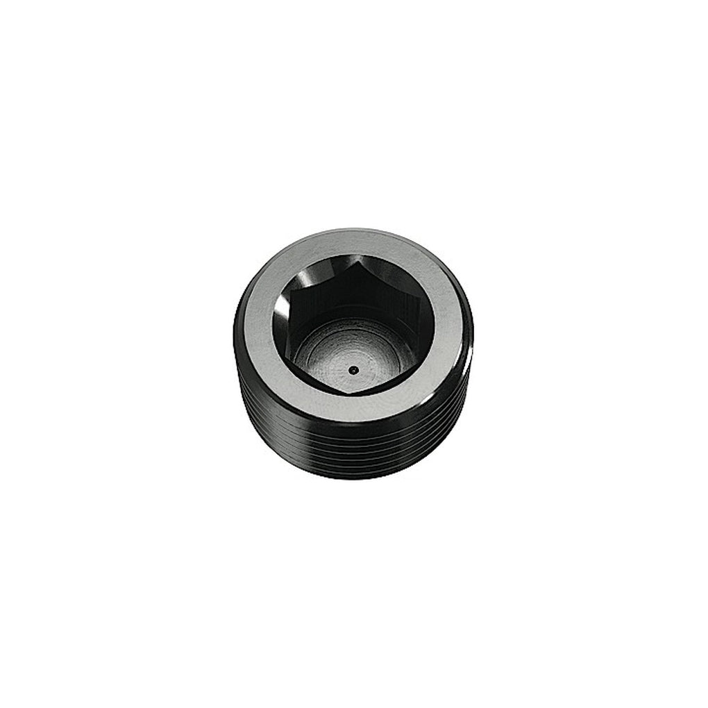 Red Horse Performance 932-16-2 16 (1) Npt Hex Head Pipe Plug Black