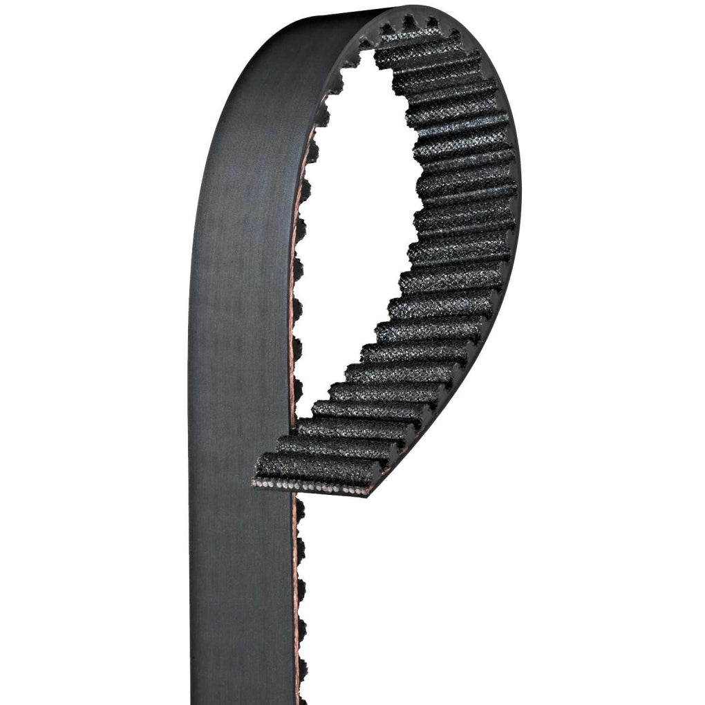 Gates T309 Timing Belt