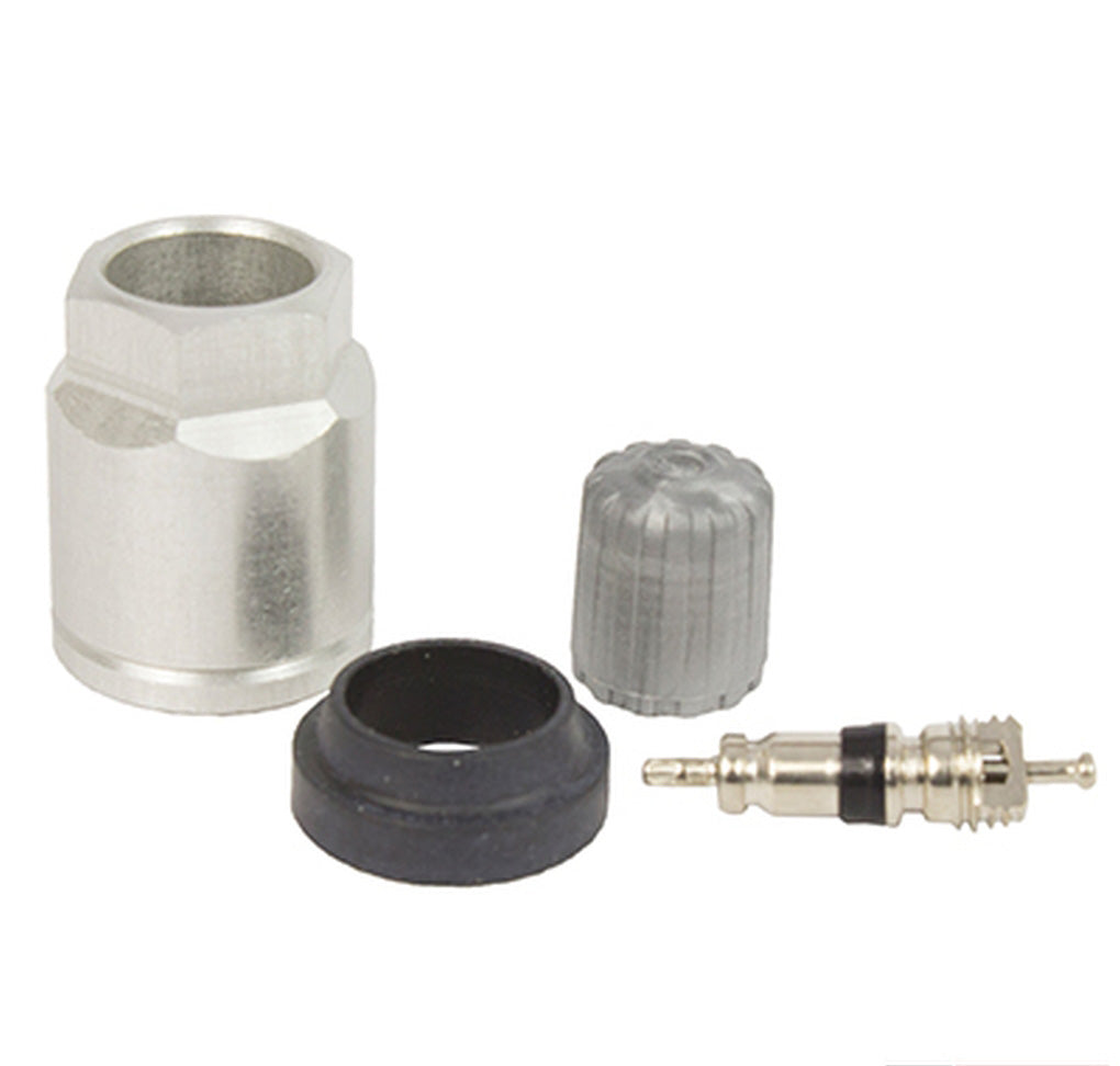 Motorcraft TPMS18 Valve Assembly