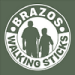 Brazos logo