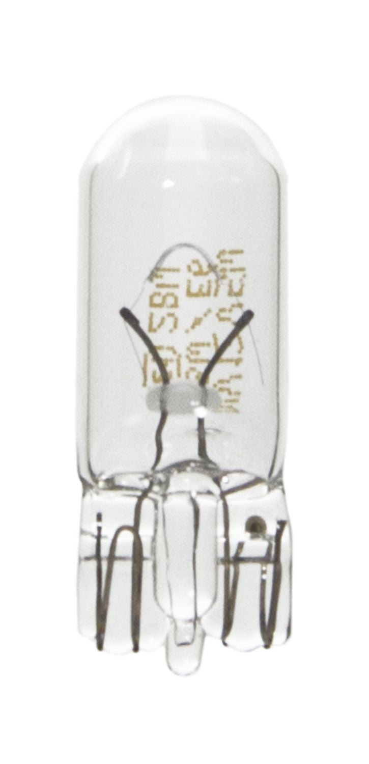 Wagner Lighting 17177 Small Standard Mini Lamp (Pack of 10)