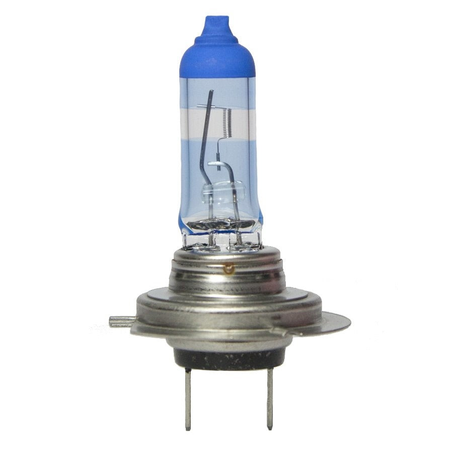 Wagner Lighting BPH7BLX Visual Standard Mini Lamp